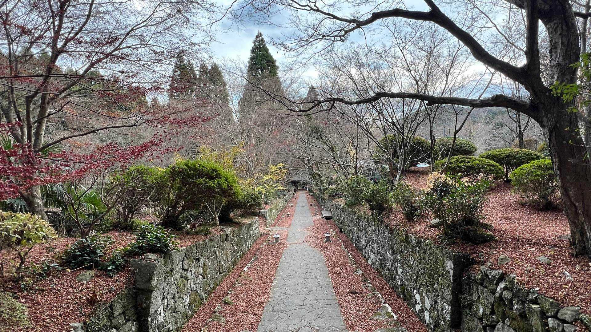 山門への道も静かな景色
艶やかな紅葉も良いんけど、意外とこんな感じが好きです😊
