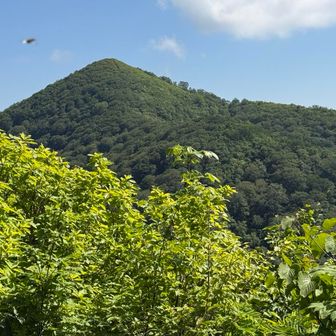 鉢伏山、カッコいい