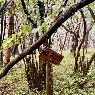 楢木山の山頂標識
道端に下がっていた