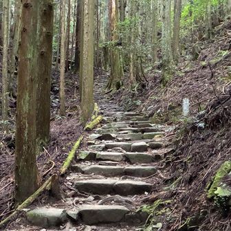 42丁目付近。ここから第3エリアへ。