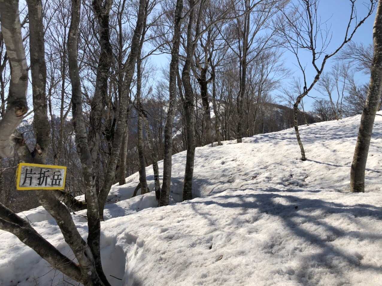 片折岳の写真
