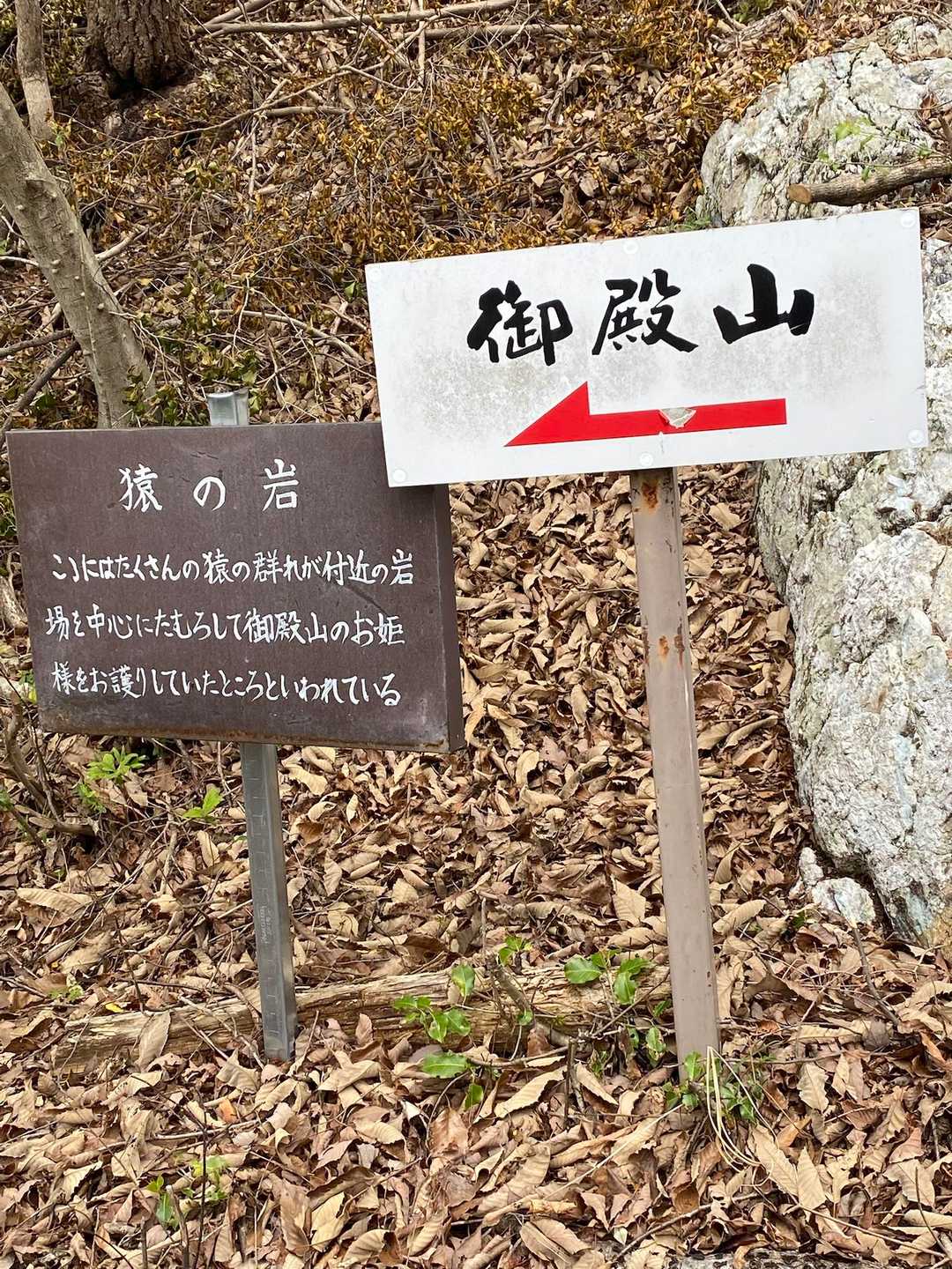 御殿山登山口-御殿山 往復コースの写真