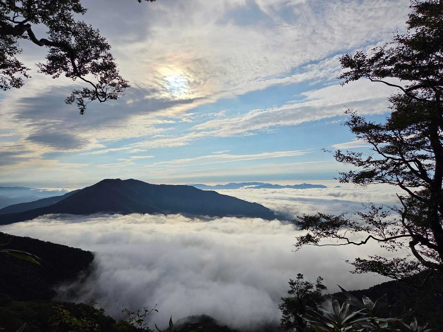 下山時　開けた場所からの
上蒜山と雲海☁️