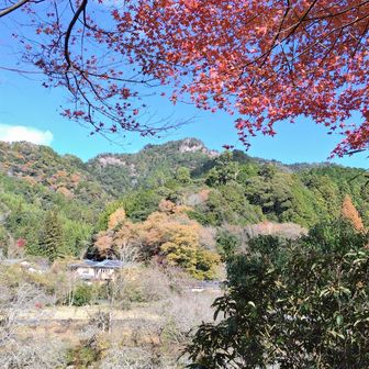 🍁紅葉と鳳来寺山