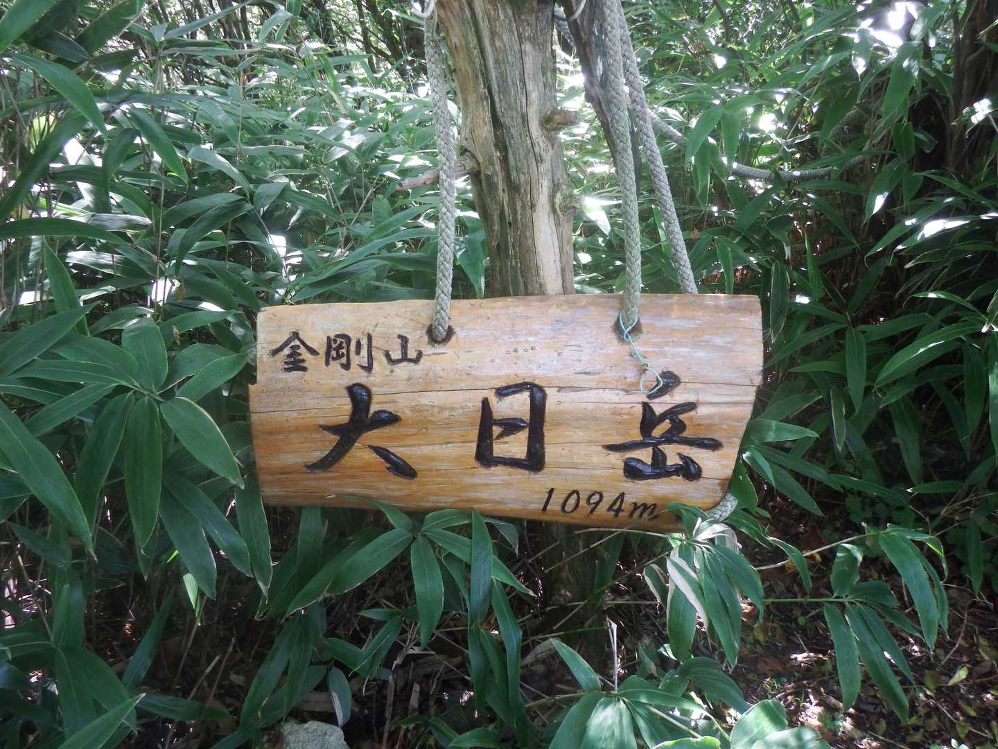 大日岳