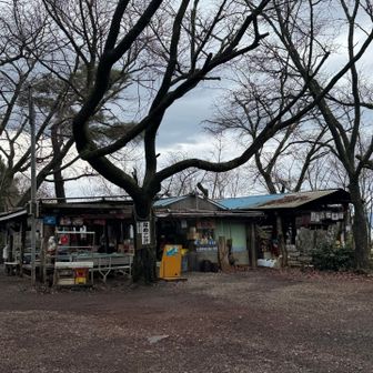 城山到着。11時近いが今日は休みの様です