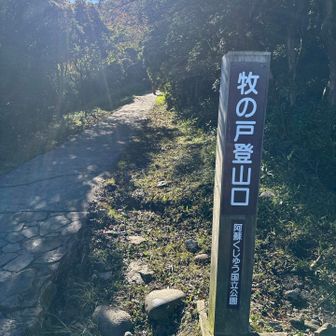 前回のゴール地点からスタート