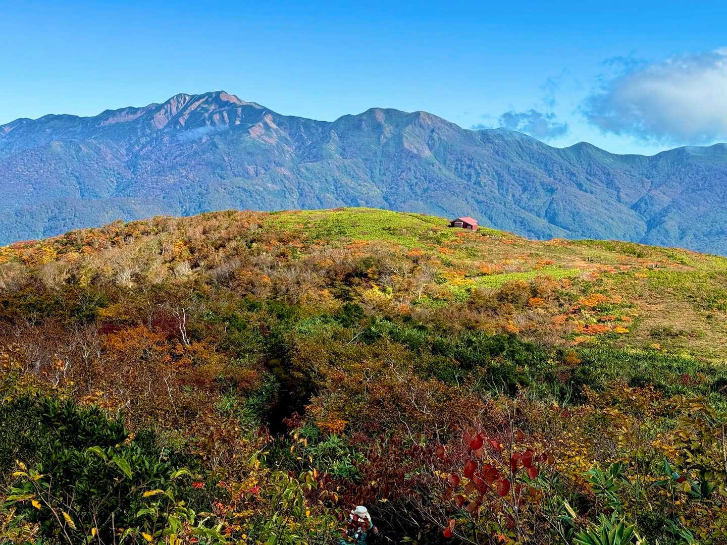 赤兎山登山口-小原峠-苅安山-奥大長谷の頭-大長山-赤兎山 周回コースの写真