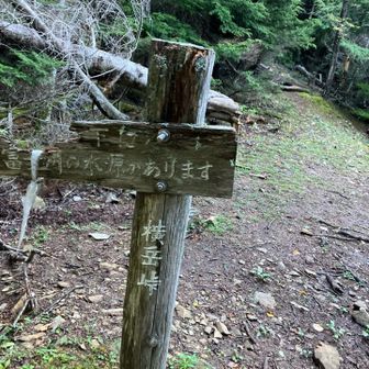前回より40分くらい早っ！
林道も登山道も迷いなし。失敗は無駄ではないのね〜