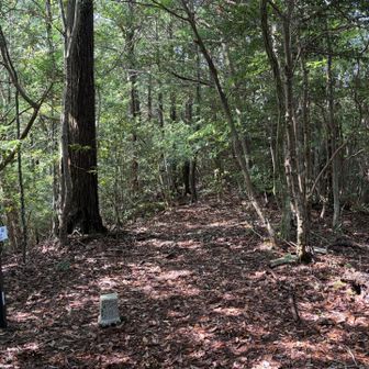 簗瀬山標高372㍍
四等三角点