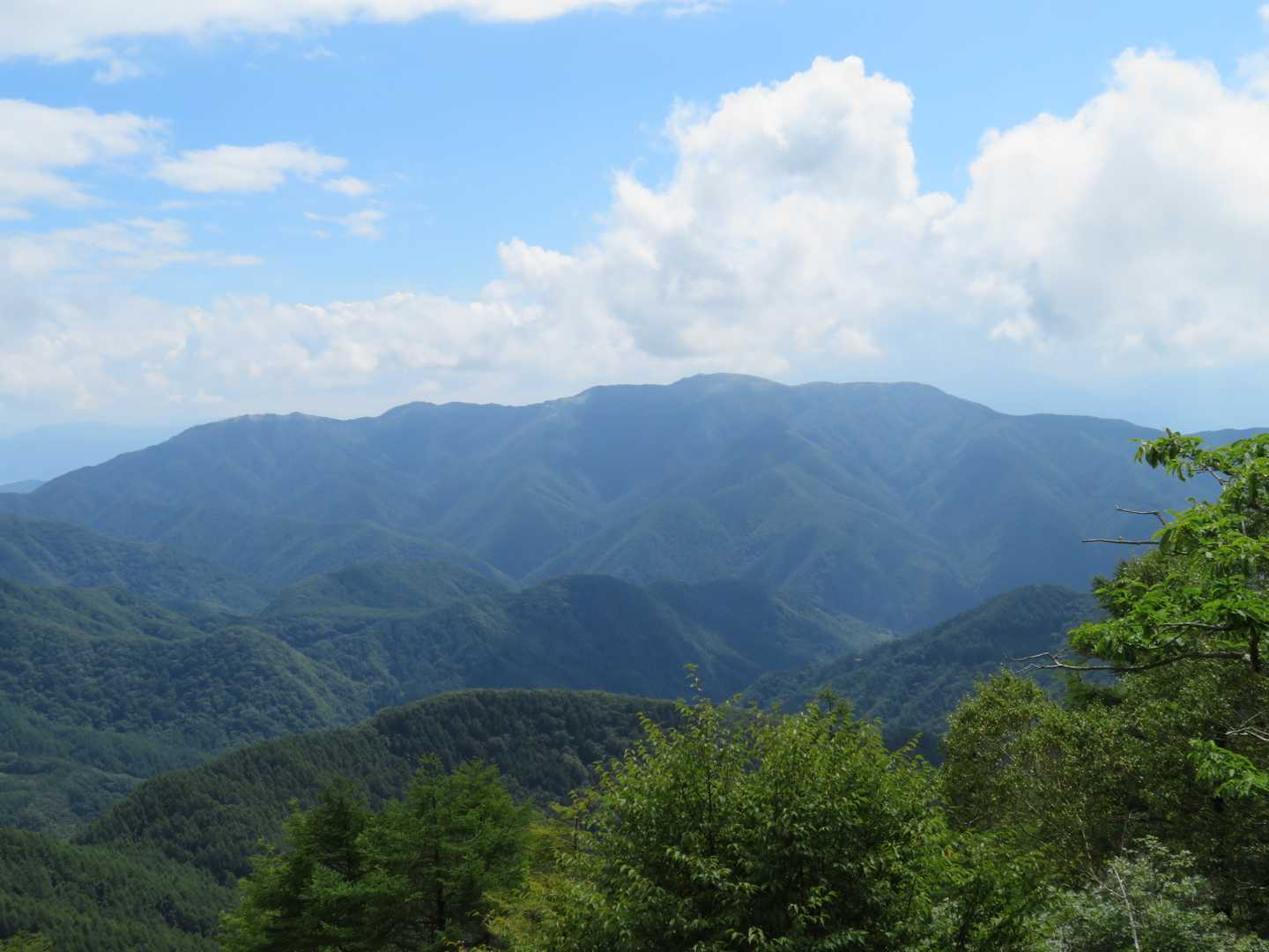 100曲がりコース登山口-美ヶ原-王ヶ鼻-ダテ河原コース登 周回コースの写真