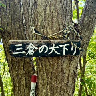 三倉は大登りしました