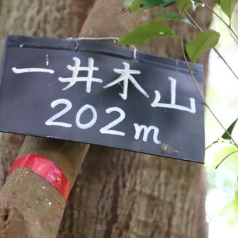 一井木山
YAMAP1780座目
