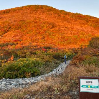 さあ、八方池山荘まで登りましょう。
