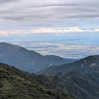大山、三浦半島方面