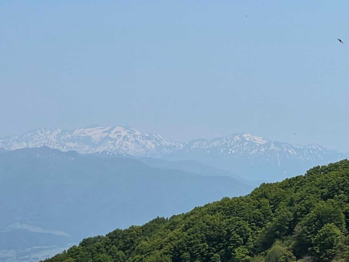 途中から、白山