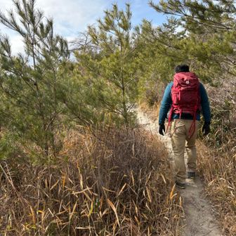 登りは巻き爪の痛みはかなり軽減されるようでスタスタ歩いてました。