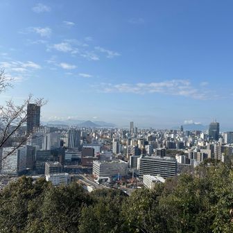 金光稲荷神社奥宮からは広島市内や瀬戸内海がよく見えました✨✨
宮島⛩️弥山はまた今度ゆっくり訪れたい✨
