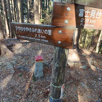 夕焼け小焼けバス停に向かいます