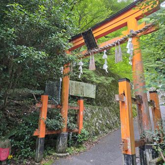 今日も無事登拝できたこと、ありがとうございました🙏🏻
チャリ兄さん、いろいろ教えてくださってありがとうございました☺️
キノコたくさんありましたね🍄
いつかヤマドリにも会ってみたいなあ