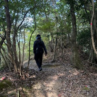 下りは太刀洗コースで周回します