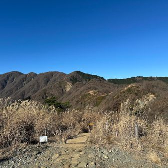烏尾山にゃ〜、次は行者ヶ岳なので気を引き締めるにゃ