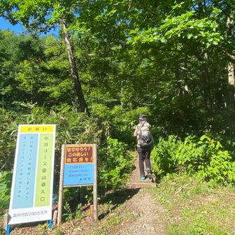 片道6kmの狭い林道走行🚙
駐車場は5時台には満車だったようで、
路肩には長い縦列駐車の列ができていました😳