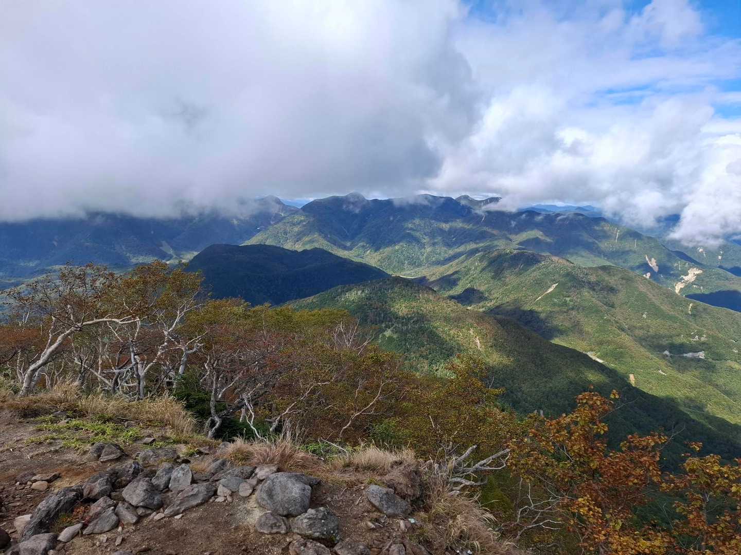 太郎山登山口-山王帽子山-太郎山 往復コースの写真