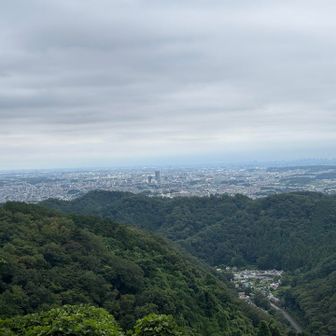 稲荷山から八王子市街方向
