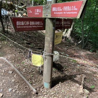 鞘口峠まで降りて来ました　ここまで来たらもうすぐ