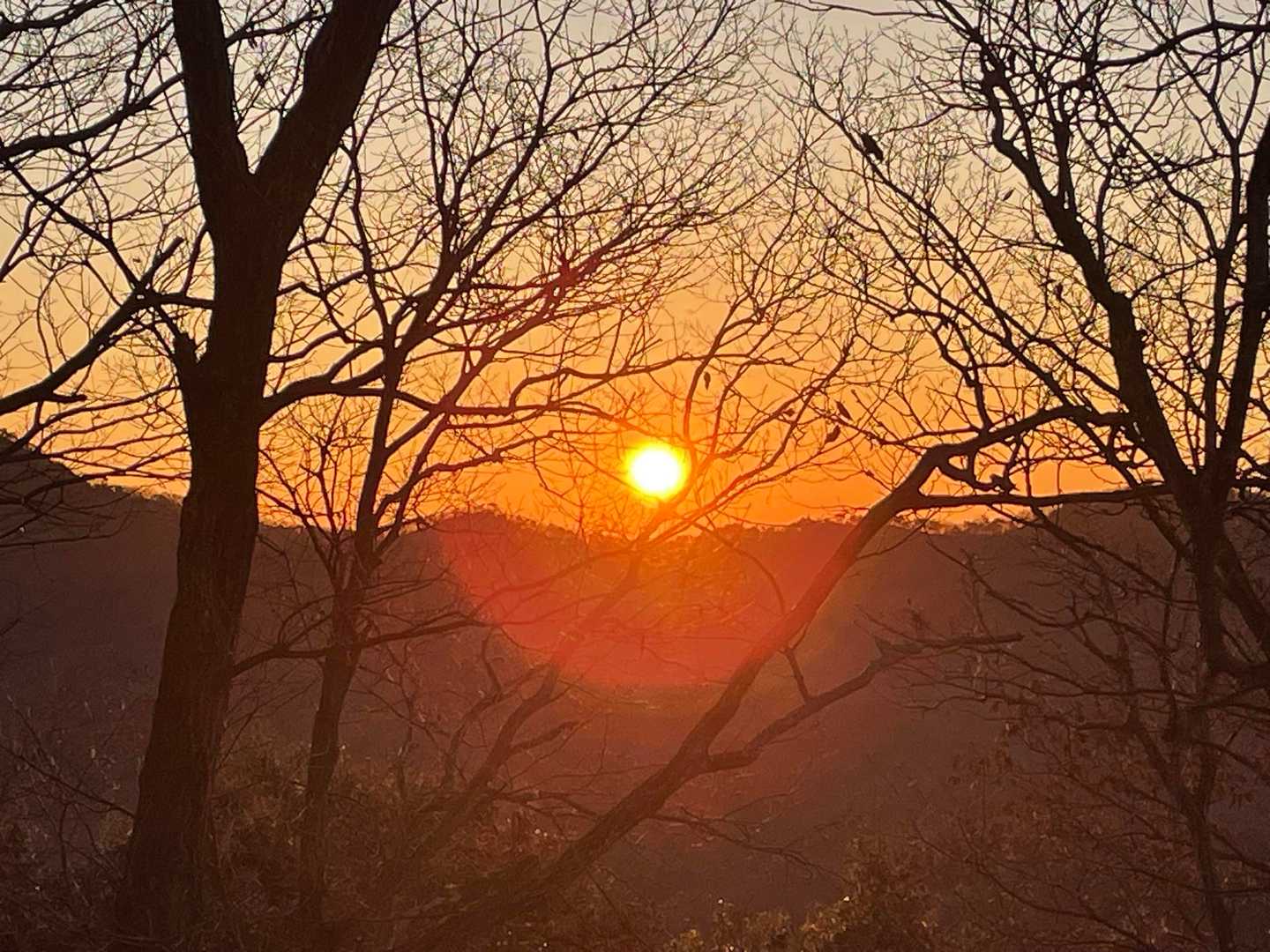 大坊山から🌅地元の方々で山頂は賑わっていた。