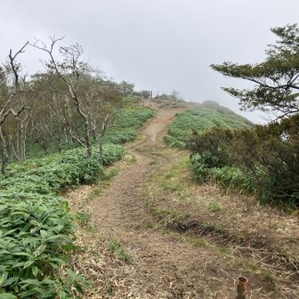 小丸山が見えてきたらUターンしてもう一回丸山へ🏃‍♂️‍➡️