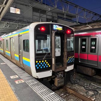 木更津からE231系ワンマンで上総湊駅へ。
自宅からだと3時間かかるから、木更津に泊まるとかなり早くスタートできる。
お隣は、京葉線E233系が乗り入れている。