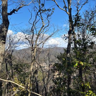 ピークからの風景