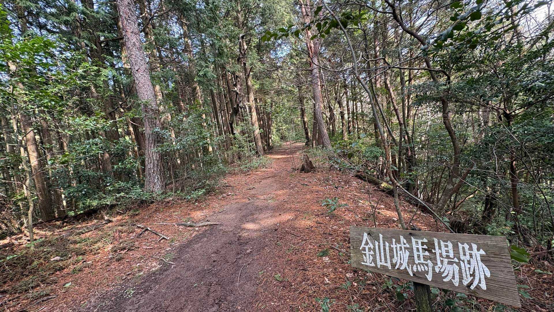 鐘ヶ坂峠登山口-金山 往復コースの写真