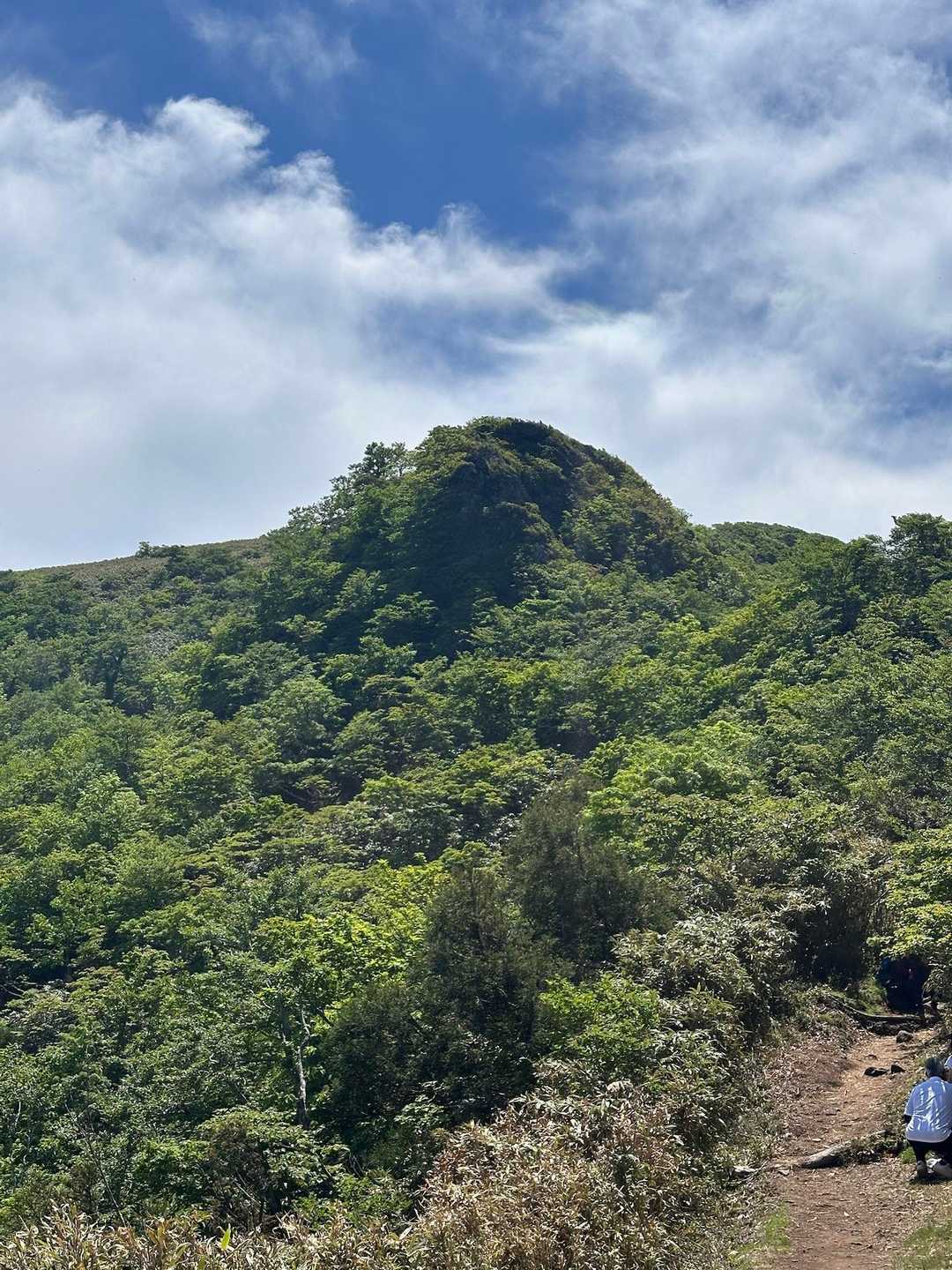 氷ノ山 往復コースの写真