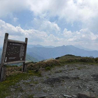 笹ヶ峰山頂