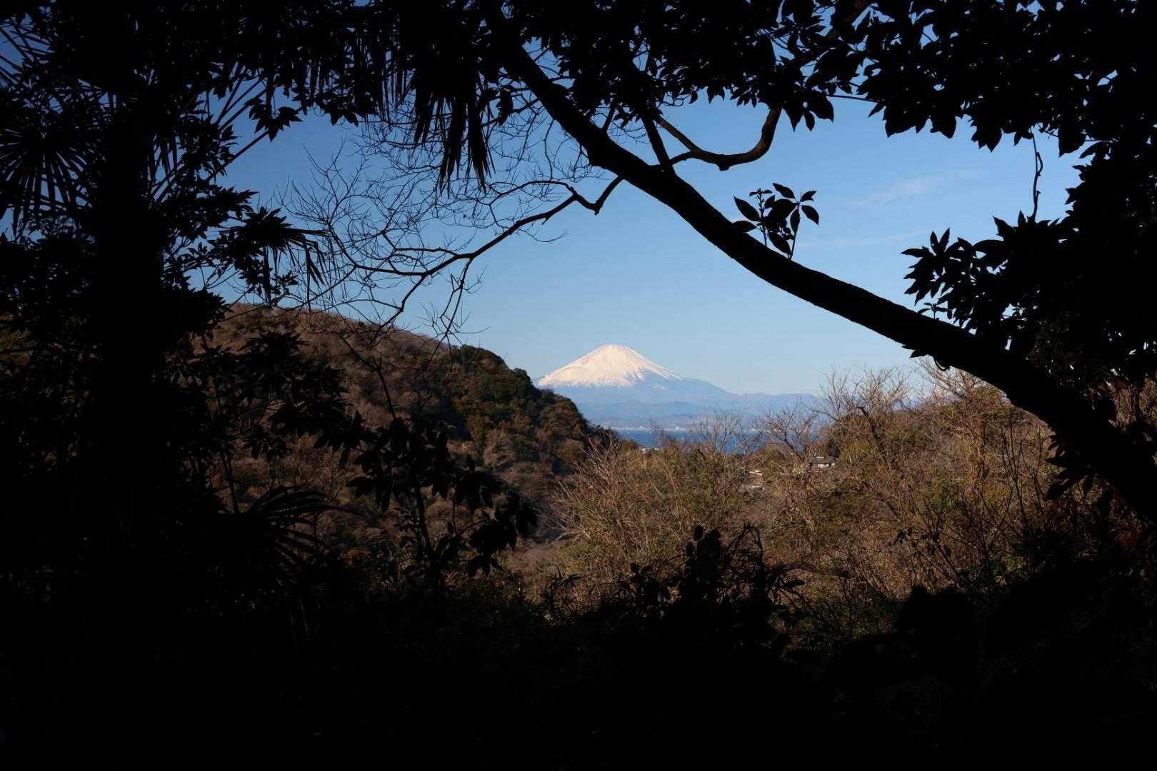 富士山見えた