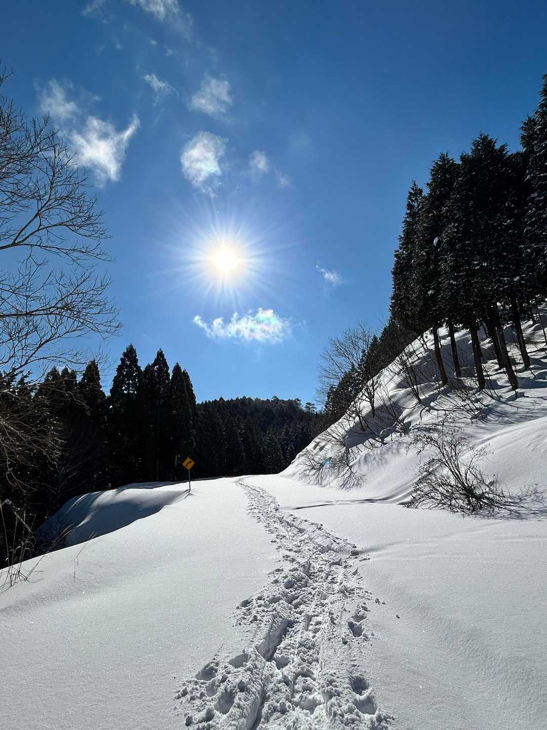 振り返るとお日様☀️
ここは車道やけど3/31まで通行止めやから何処でも歩けるよ👣