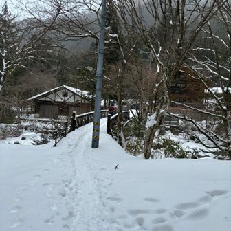 お疲れ山でした