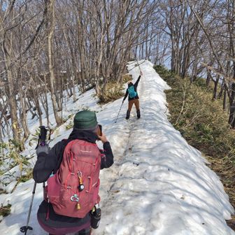 を撮ってみた📸