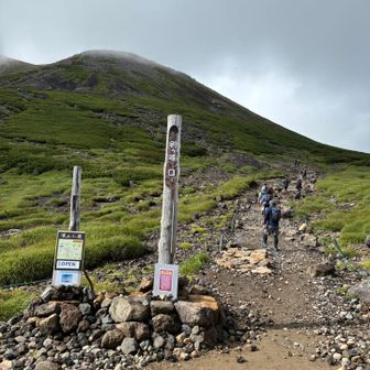 ここから本格的に登山開始！
