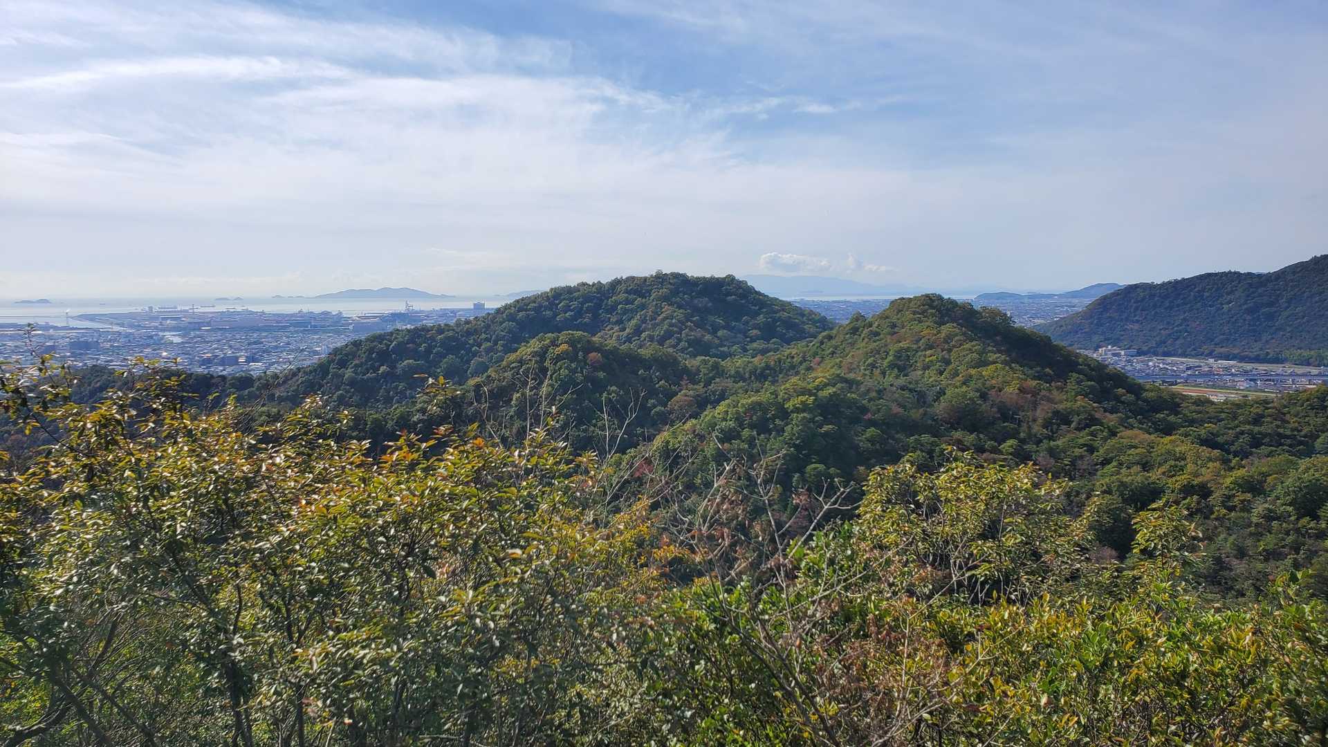 紅葉はまだですかね