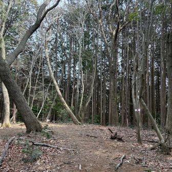 10分ほど歩いて小築山に到着