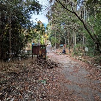 足を庇いつつも、無事にげざーん☺