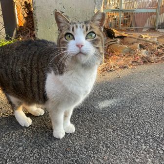 この子はめっちゃ餌を食べる。1番愛嬌があって可愛い子でした。