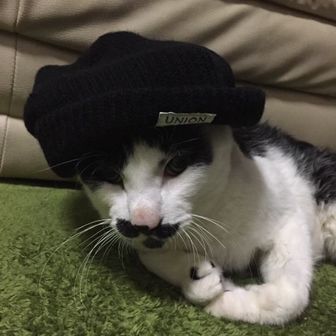 マック