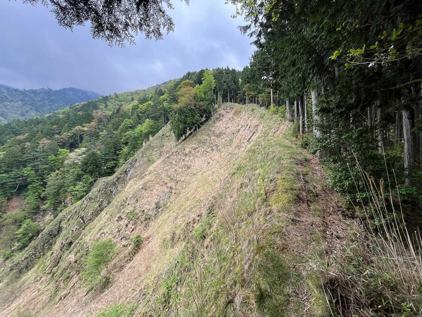この細い尾根は落ちたらヤバイ！😅
ですが、横に安全な道が有りました😮‍💨