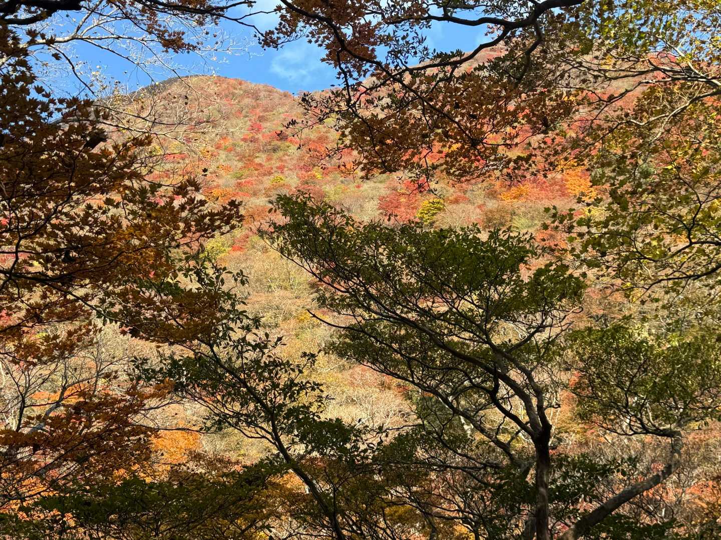 この時は💙も🍁も見えてた😂✨✨