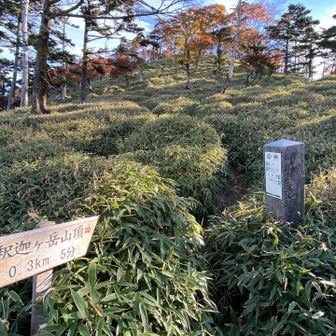 山頂手前の急登、5分では無理？